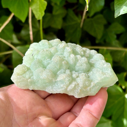 Prehnit klynge Botryoidal 10 cm | nr 5