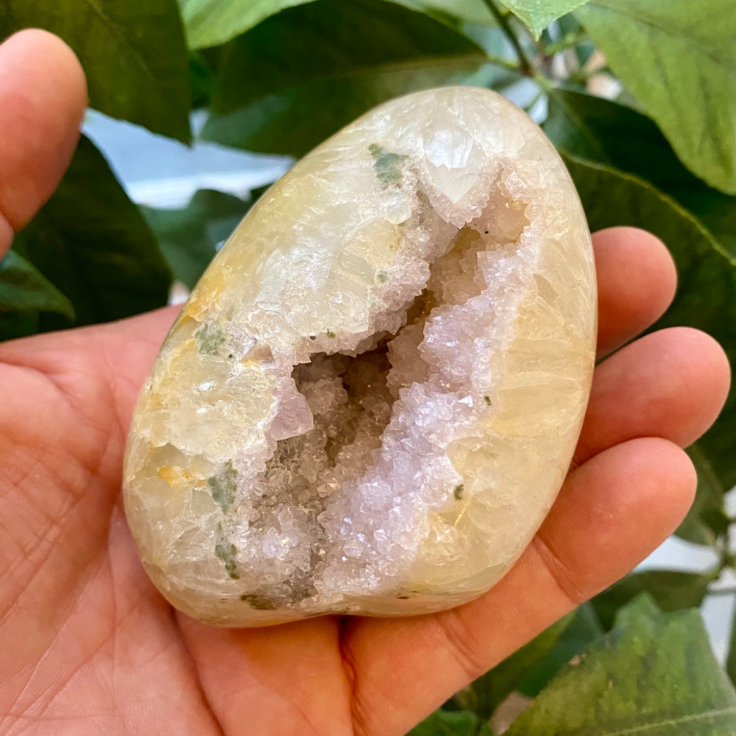 Agat geode, poleret Agat geode, poleret