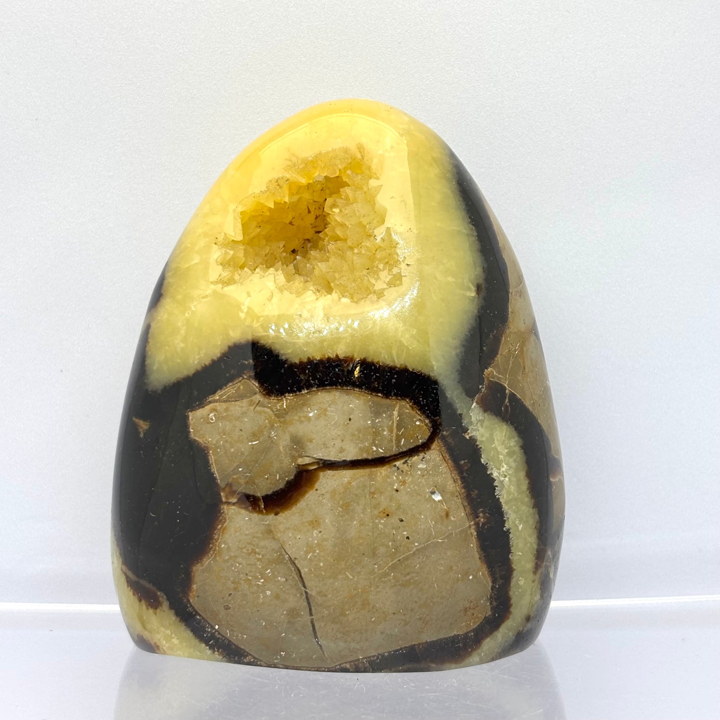 Septarie drusy skulptur 9 cm | nr. 12 Septarie drusy skulptur 9 cm | nr. 12
