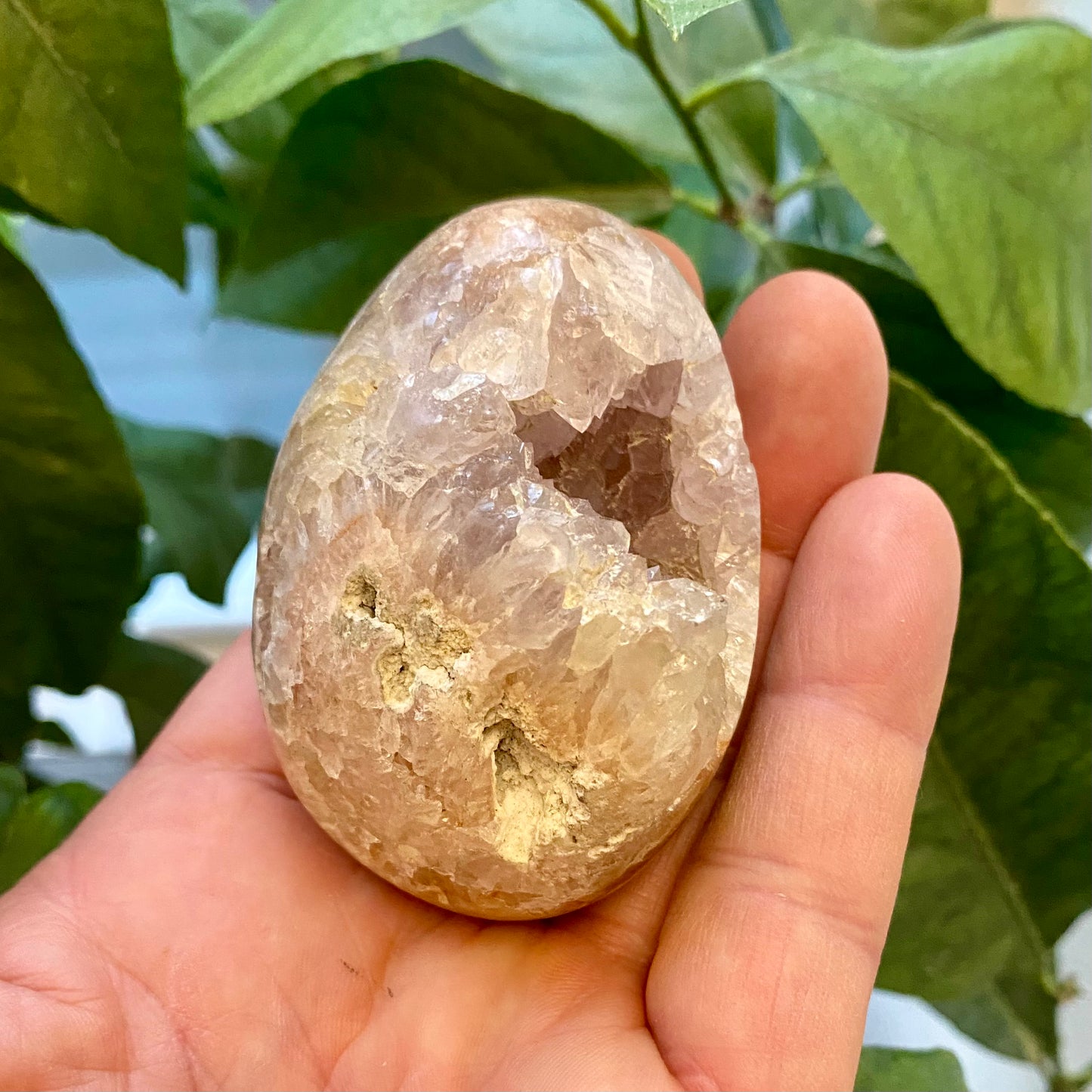 Agat geode, poleret Agat geode, poleret