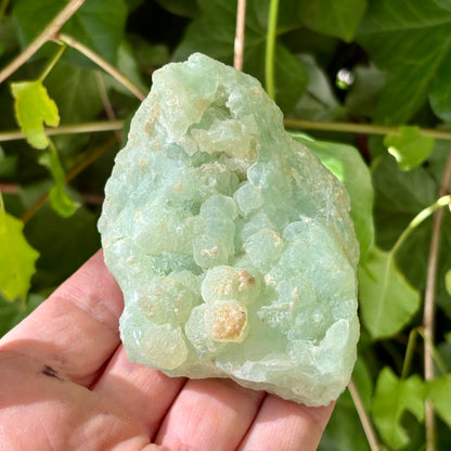 Prehnit klynge Botryoidal 9 cm | nr 4