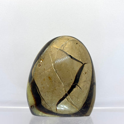 Septarie drusy skulptur 7,5 cm | nr. 6