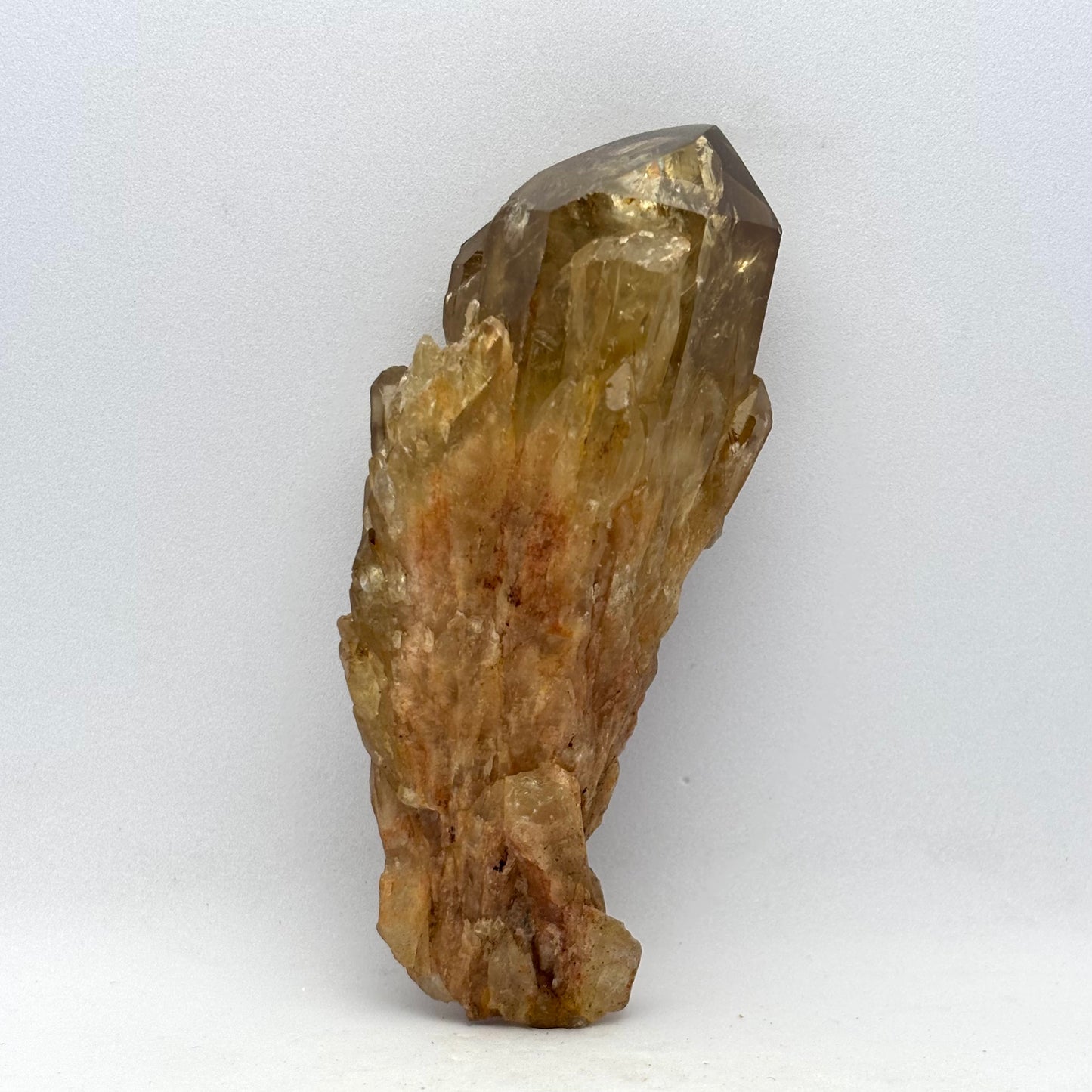 Citrin klynge 10 cm | nr. 6 Citrin klynge 10 cm | nr. 6