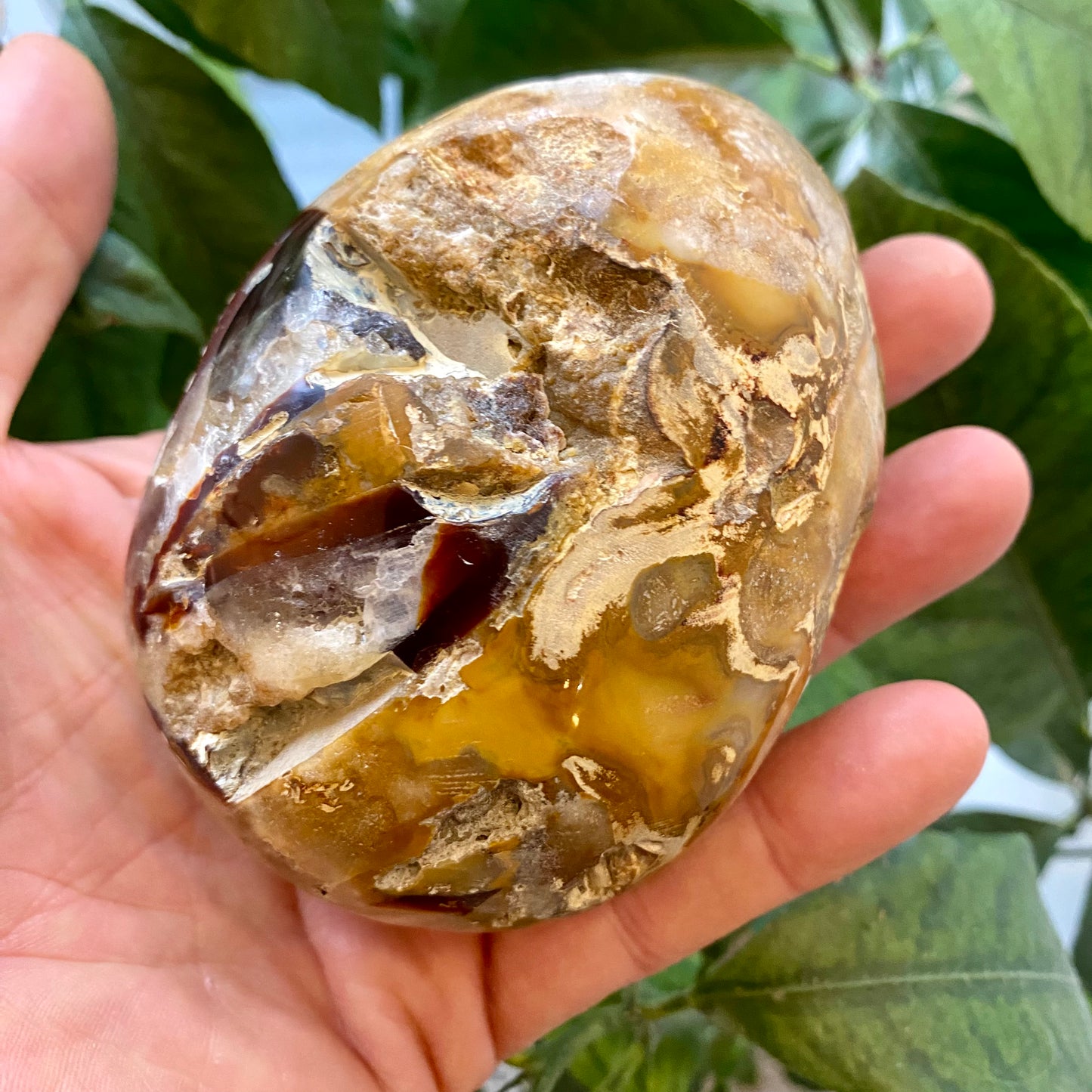 Agat geode, poleret Agat geode, poleret