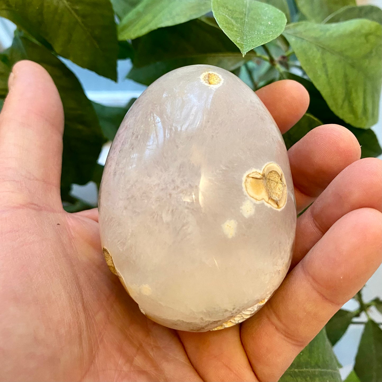 Agat geode, poleret Agat geode, poleret