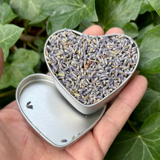 Billede af Økologisk lavendel fra Provence - hjerte