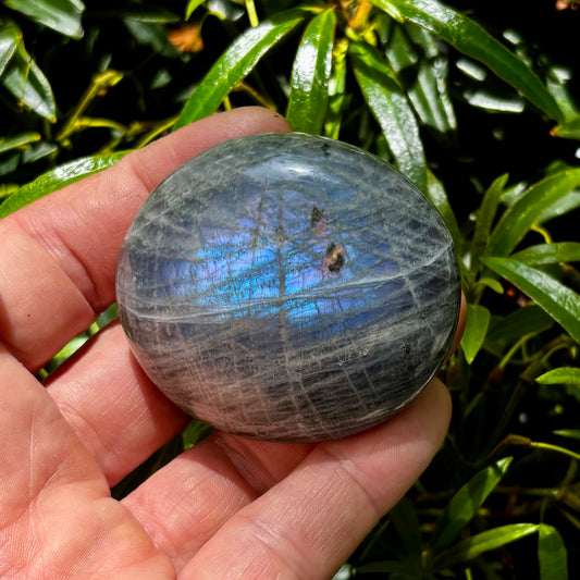 Billede af Labradorit palmstone | 6 cm nr 4