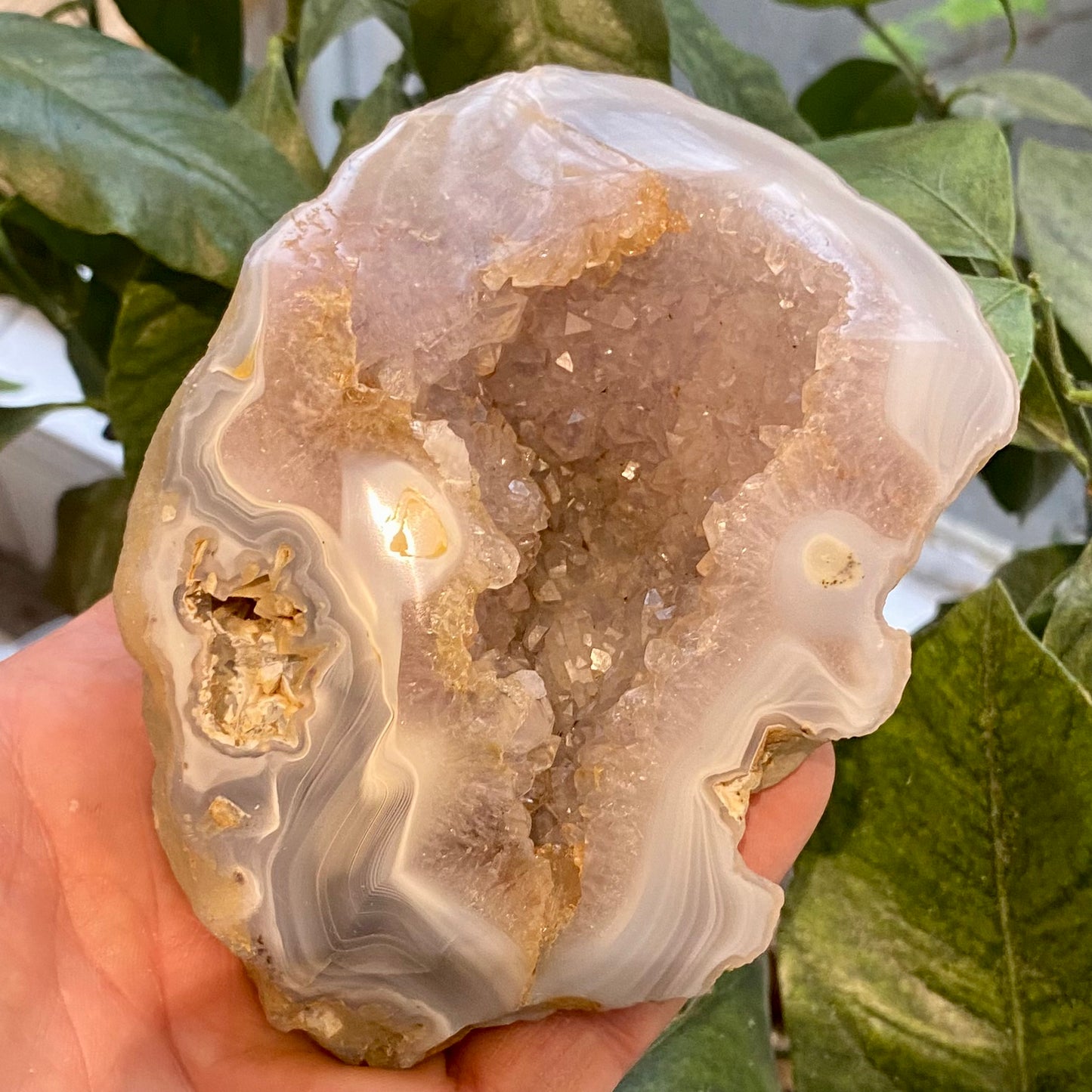 Agat geode, poleret Agat geode, poleret