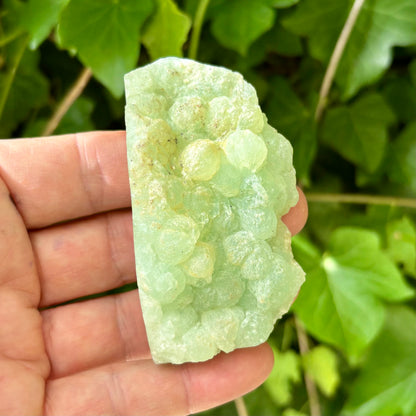 Prehnit klynge Botryoidal 8 cm | nr 6