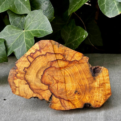 Palo Santo Podie til ceremoni og fokus