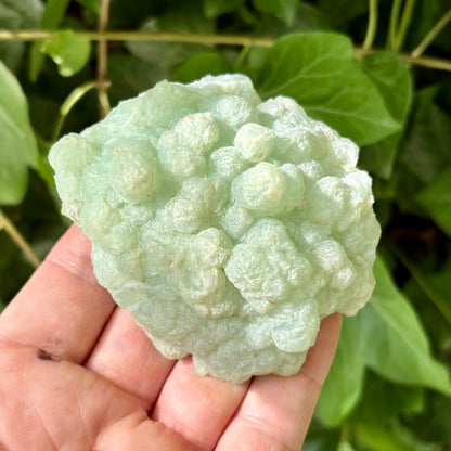 Prehnit klynge Botryoidal 8,5 cm | nr 2