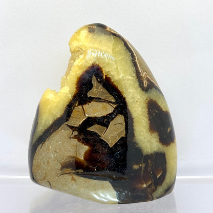 Septarie drusy skulptur 8,5 cm | nr. 4