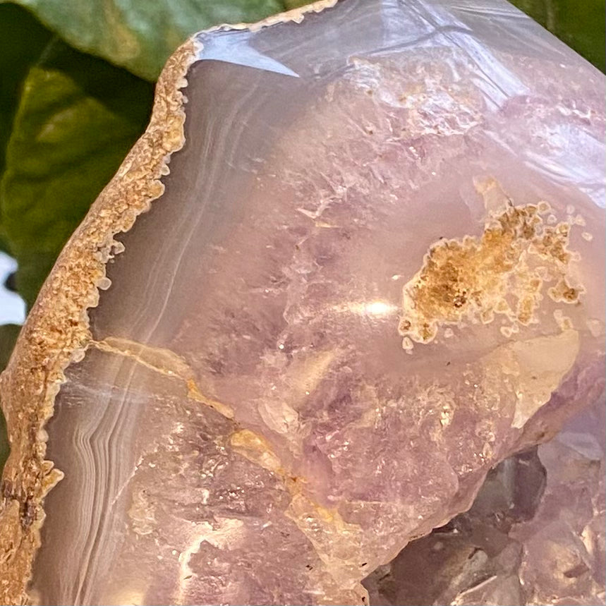 Agat geode, poleret Agat geode, poleret