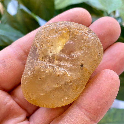 Seer Krystal | River Quartz