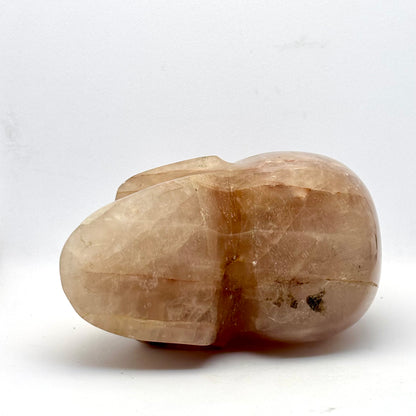 Krystal kranie | håndskåret hæmatoid kvarts, Madagaskar  | 10,5 cm