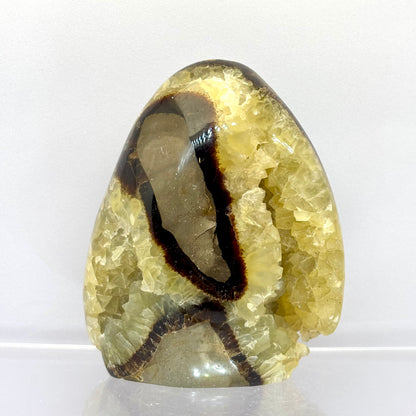 Septarie drusy skulptur 9 cm | nr. 3