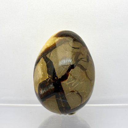 Septarie drusy æg 7 cm | nr. 8