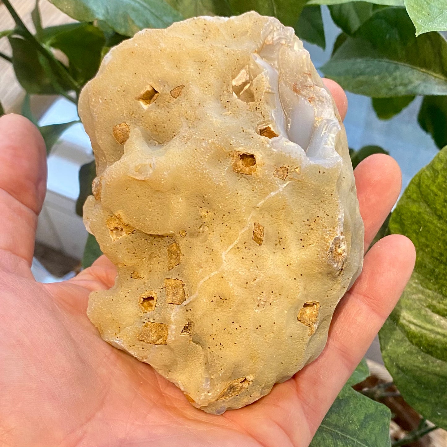 Agat geode, poleret Agat geode, poleret