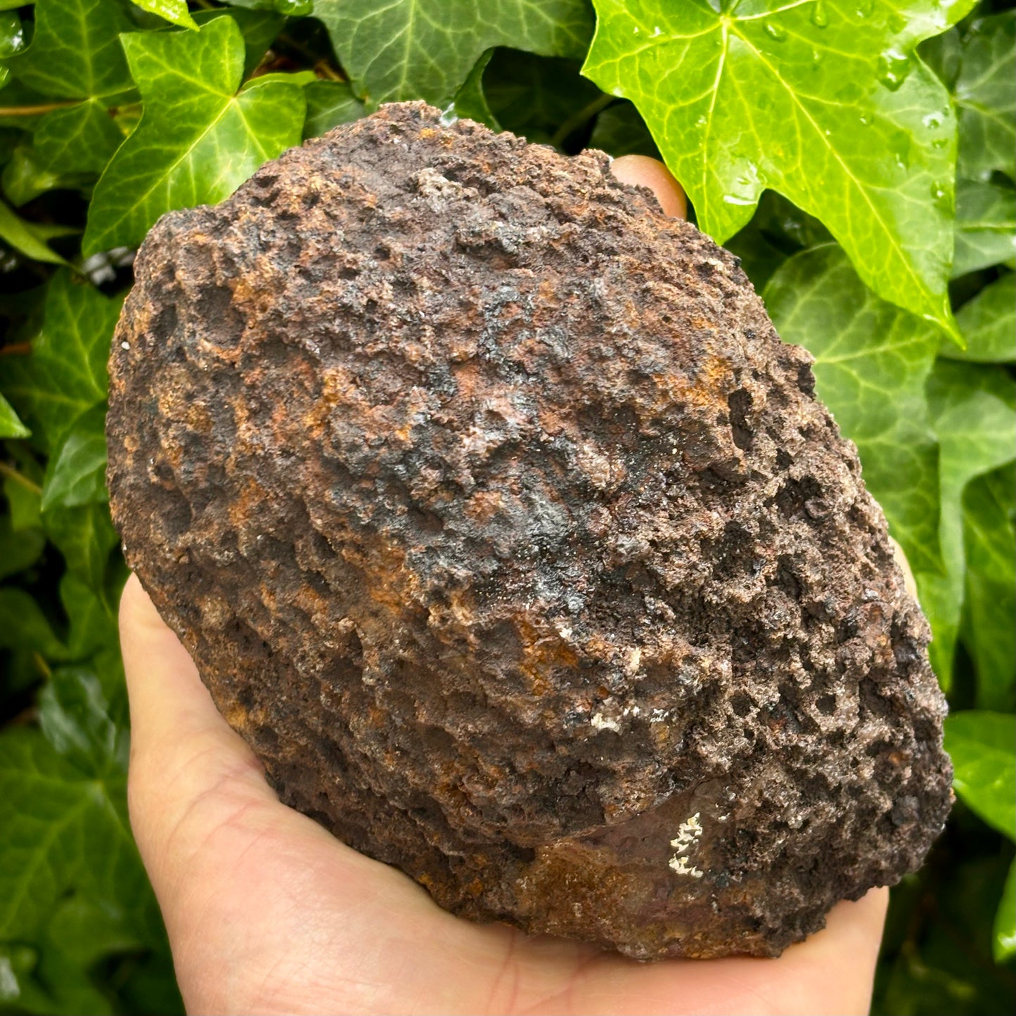 Agat og bjergkrystal geode, poleret 15,5 cm Agat og bjergkrystal geode, poleret 15,5 cm