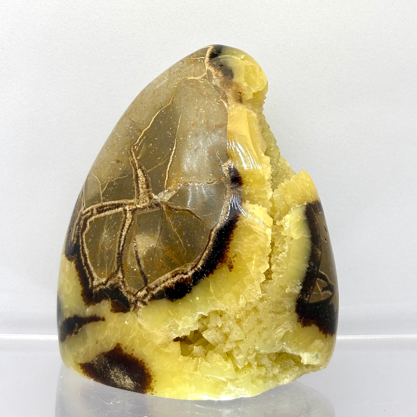 Septarie drusy skulptur 8,5 cm | nr. 4 Septarie drusy skulptur 8,5 cm | nr. 4