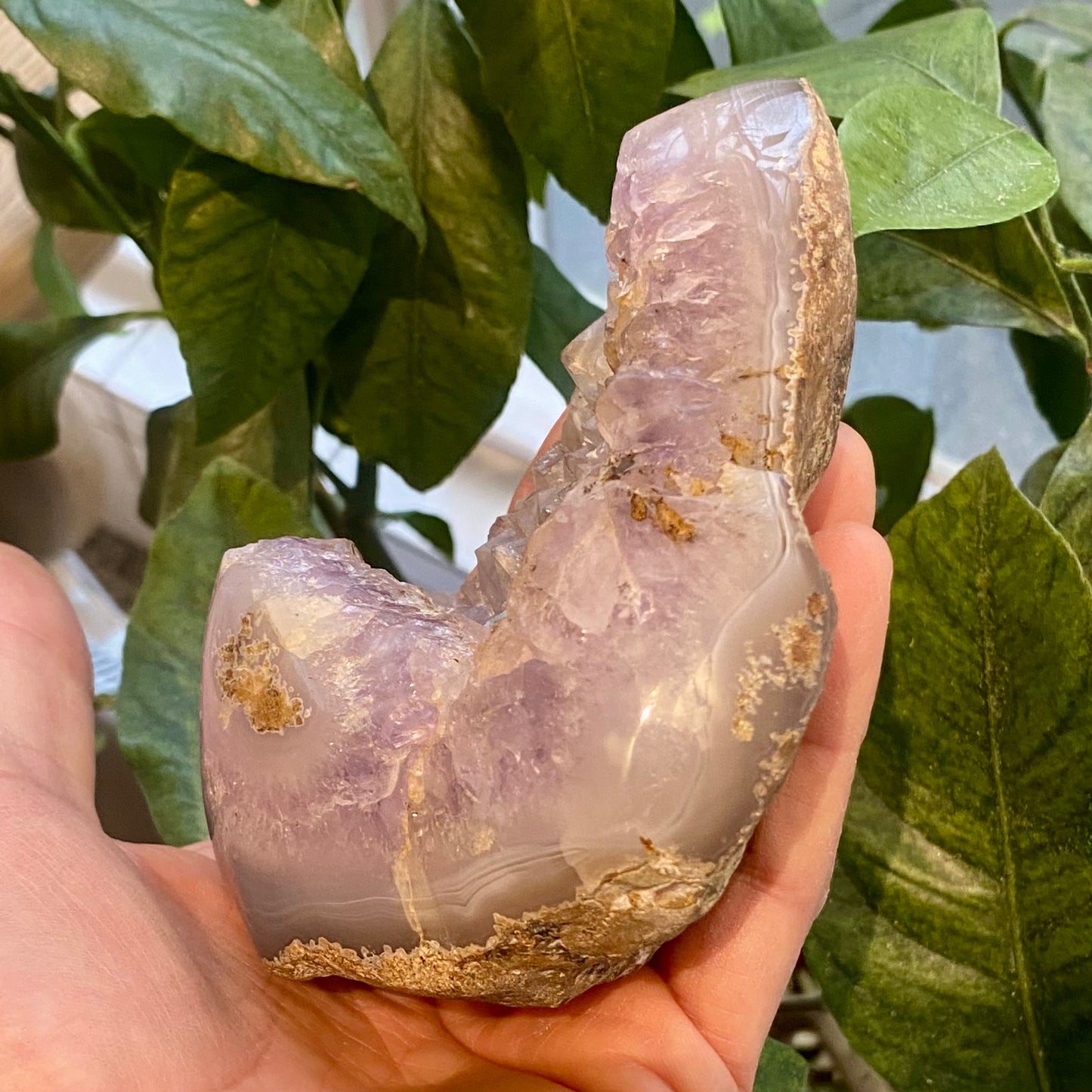 Agat geode, poleret Agat geode, poleret