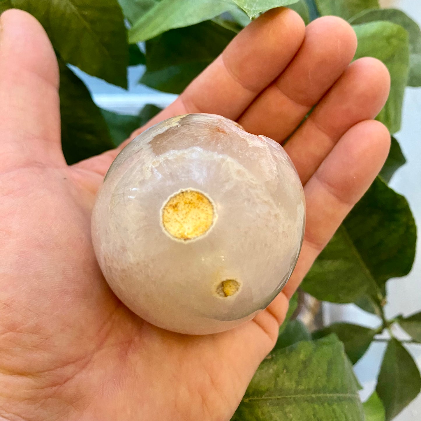 Agat geode, poleret Agat geode, poleret