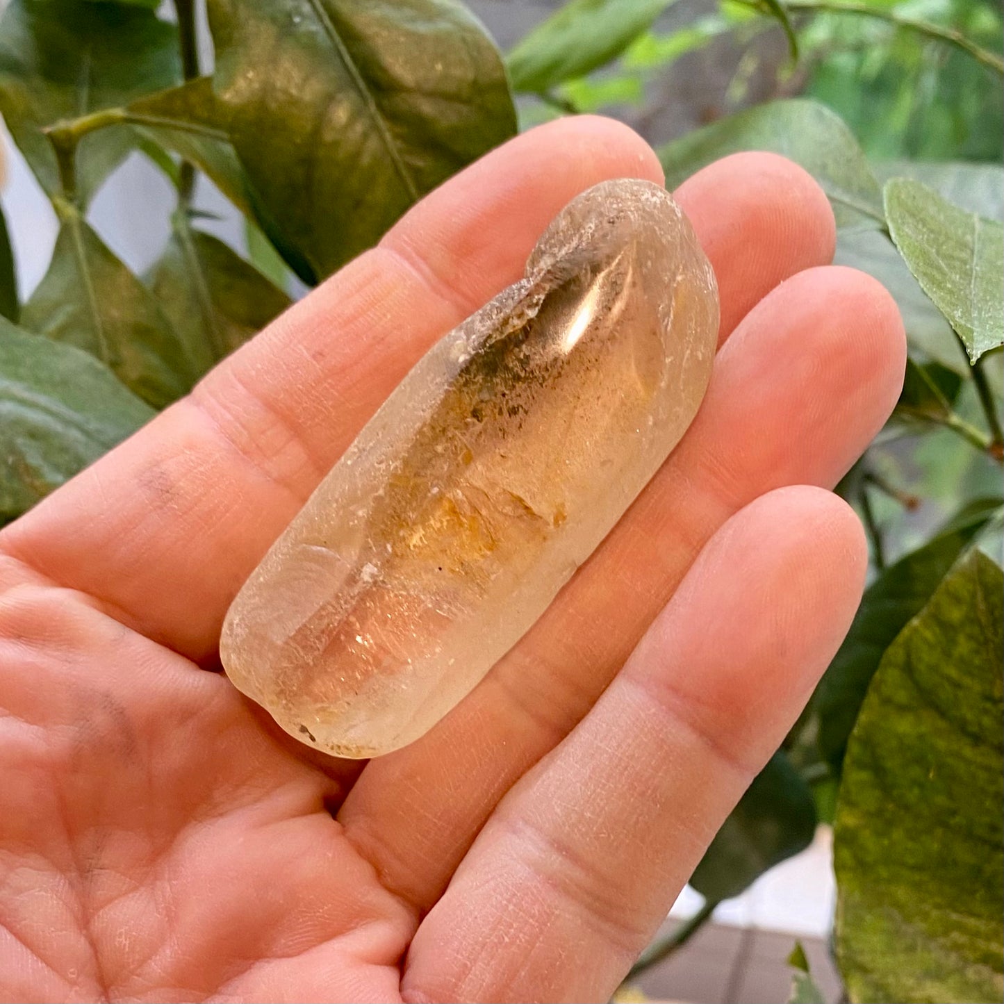 Seer Krystal | River Quartz Seer Krystal | River Quartz