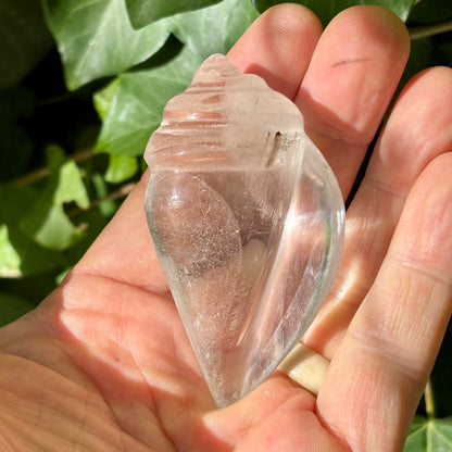 Rituel konkylie | håndskåret Himalaya Bjergkrystal | 8 cm
