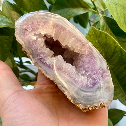 Agat geode, poleret