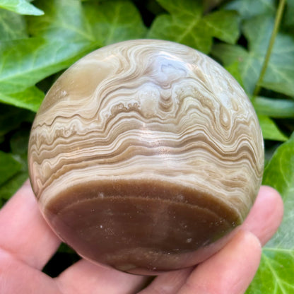 Amber flower Calcit Kugle fra Myanmar - 7,3 cm | nr. 6