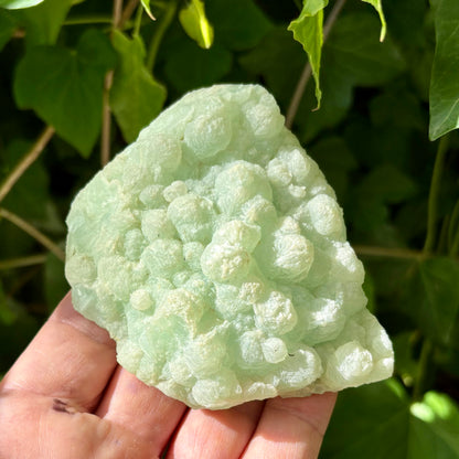 Prehnit klynge Botryoidal 10 cm | nr 5