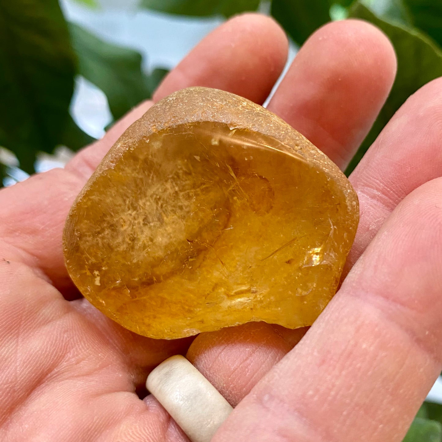 Seer Krystal | River Quartz Seer Krystal | River Quartz