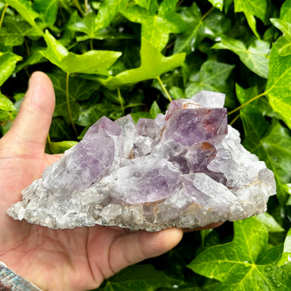 Jacaranda Ametystklynge - 15,5 cm | ligger flot