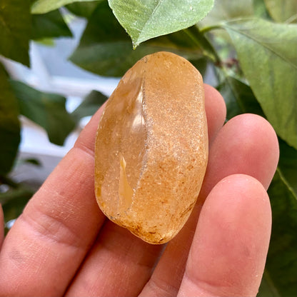 Seer Krystal | River Quartz