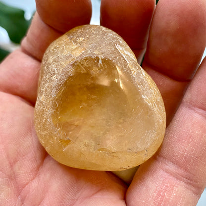 Seer Krystal | River Quartz