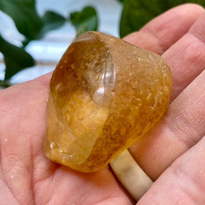 Seer Krystal | River Quartz