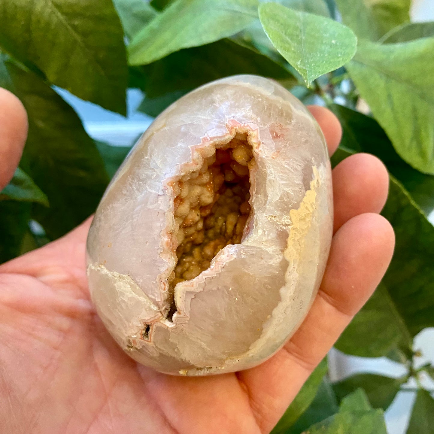 Agat geode, poleret Agat geode, poleret