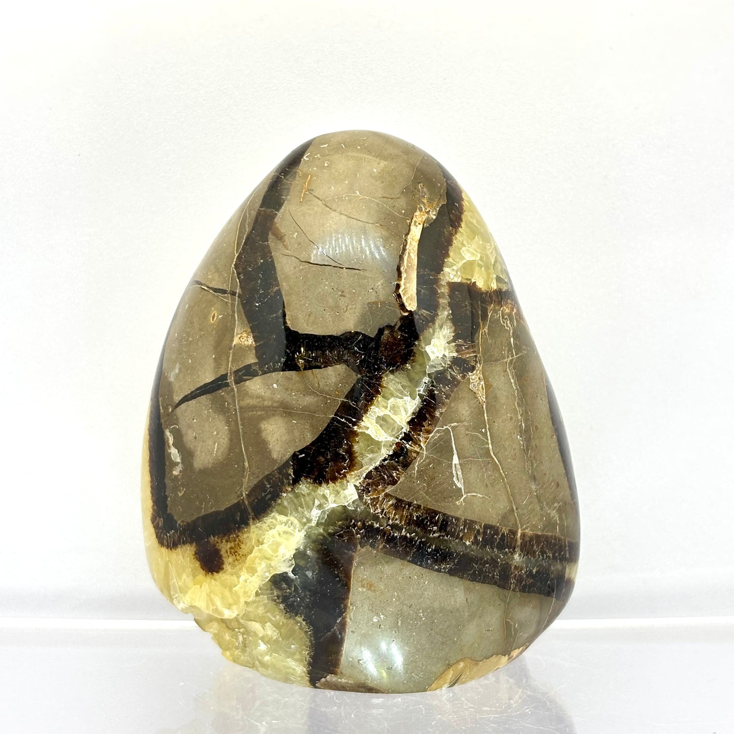 Septarie drusy skulptur 9 cm | nr. 3 Septarie drusy skulptur 9 cm | nr. 3