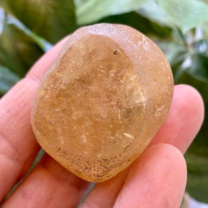 Seer Krystal | River Quartz
