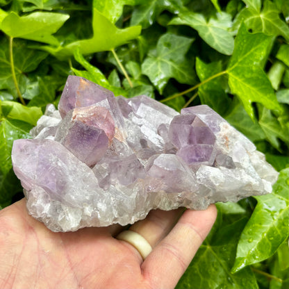 Jacaranda Ametystklynge - 15,5 cm | ligger flot