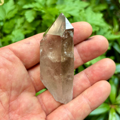Skardu Røgkvarts naturlig 7,5 cm