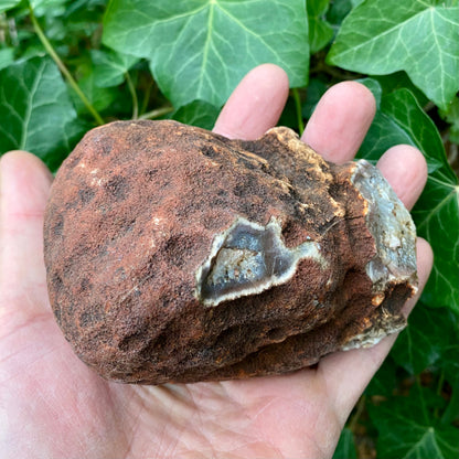 Agat geode, poleret 13 cm