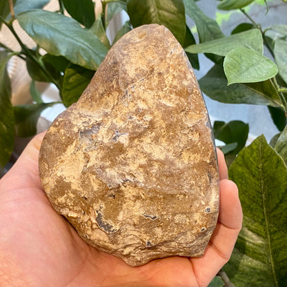 Agat geode, poleret
