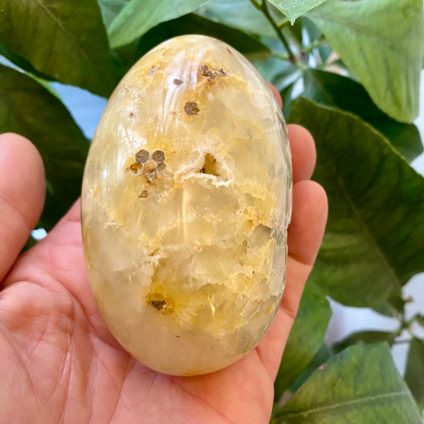 Agat geode, poleret Agat geode, poleret