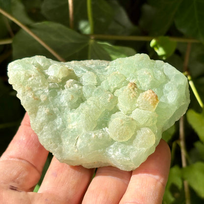 Prehnit klynge Botryoidal 9 cm | nr 4