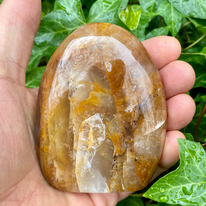 Golden healer form, Zambia
