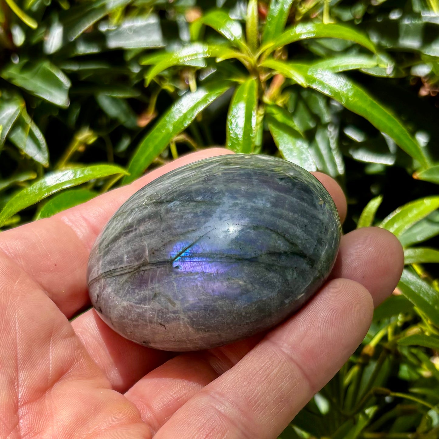 Labradorit palmstone | 6 cm nr 4 Labradorit palmstone | 6 cm nr 4