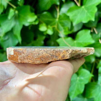 Blonde agat crazy lace 12 cm | nr 4