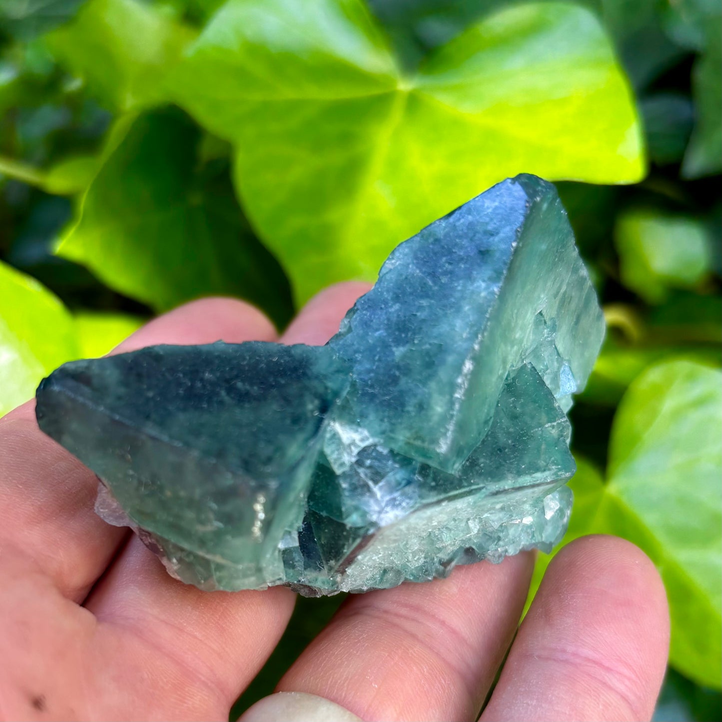 Kubisk grøn fluorit klynge - 7,5 cm Kubisk grøn fluorit klynge - 7,5 cm
