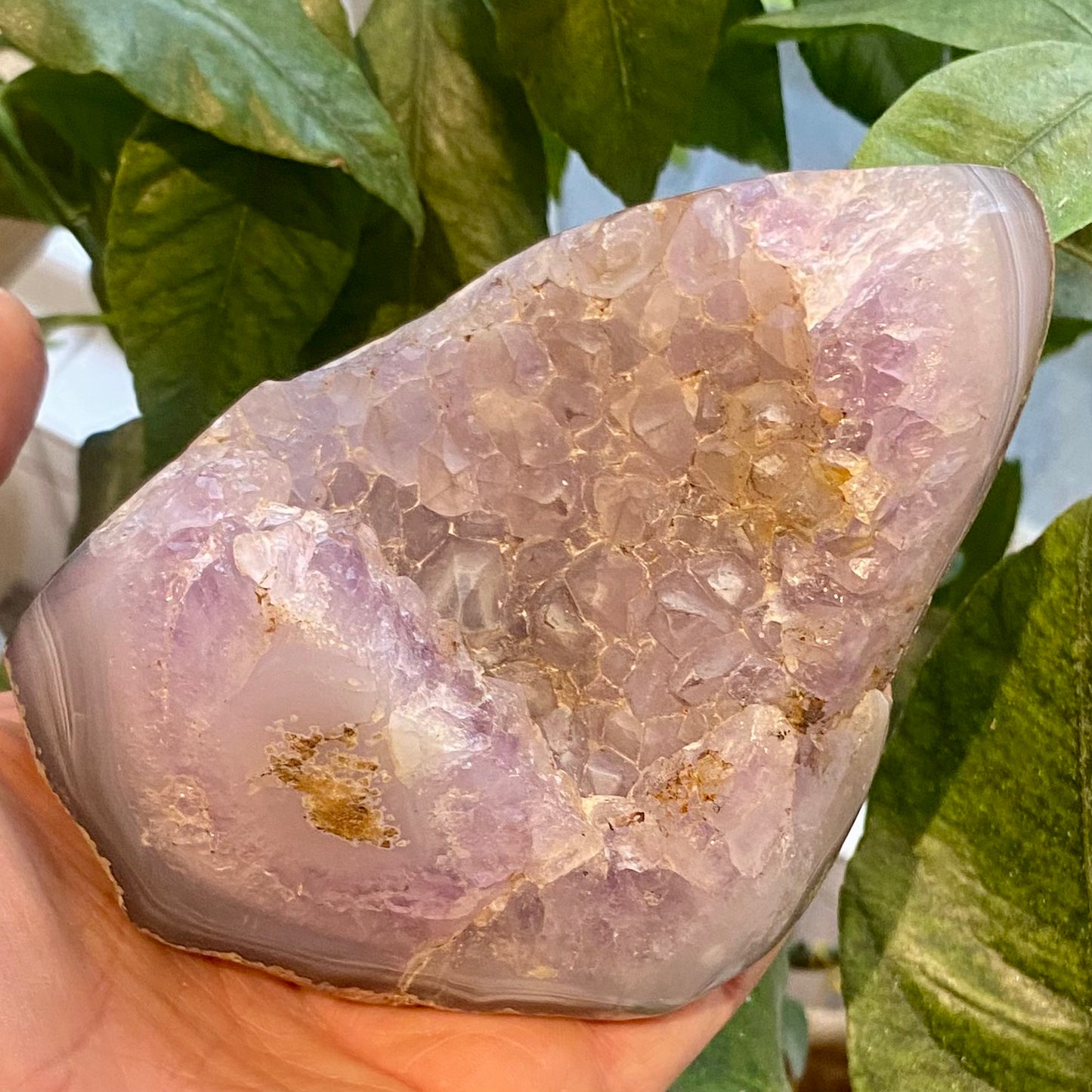 Agat geode, poleret Agat geode, poleret